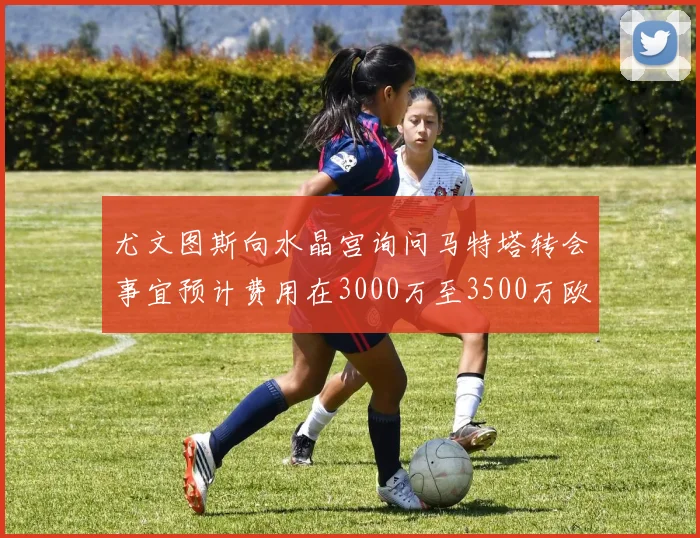 尤文图斯向水晶宫询问马特塔转会事宜预计费用在3000万至3500万欧元之间